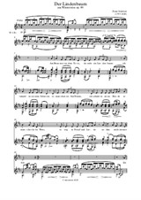 Franz Schubert: Der Lindenbaum arranged for Voice and Guitar